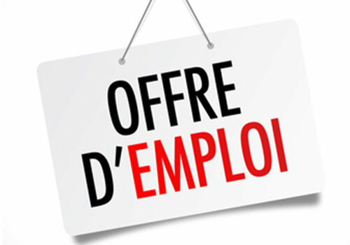 La commune recherche un(e) animateur(trice) diplômé(e)