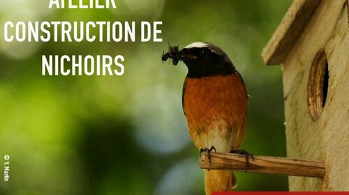 ATELIER FABRICATION DE NICHOIRS