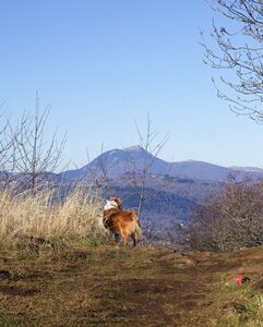 Plateau de Gergovie 